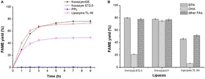 Integrated Production of Biodiesel and Concentration of Polyunsaturated Fatty Acid in Glycerides Through Effective Enzymatic Catalysis